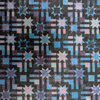 Starry Path in Moonshadow