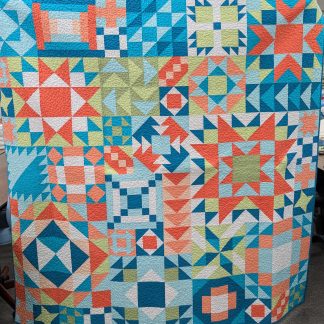 Circle City Sampler quilt